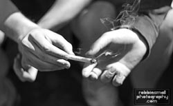 weed smokers unite at ann arbors anual hash bash 4 20